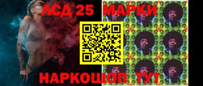 стаф Донской
