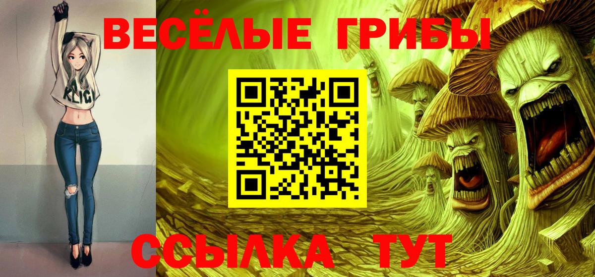 Псилоцибиновые грибы мицелий Ликино-Дулёво